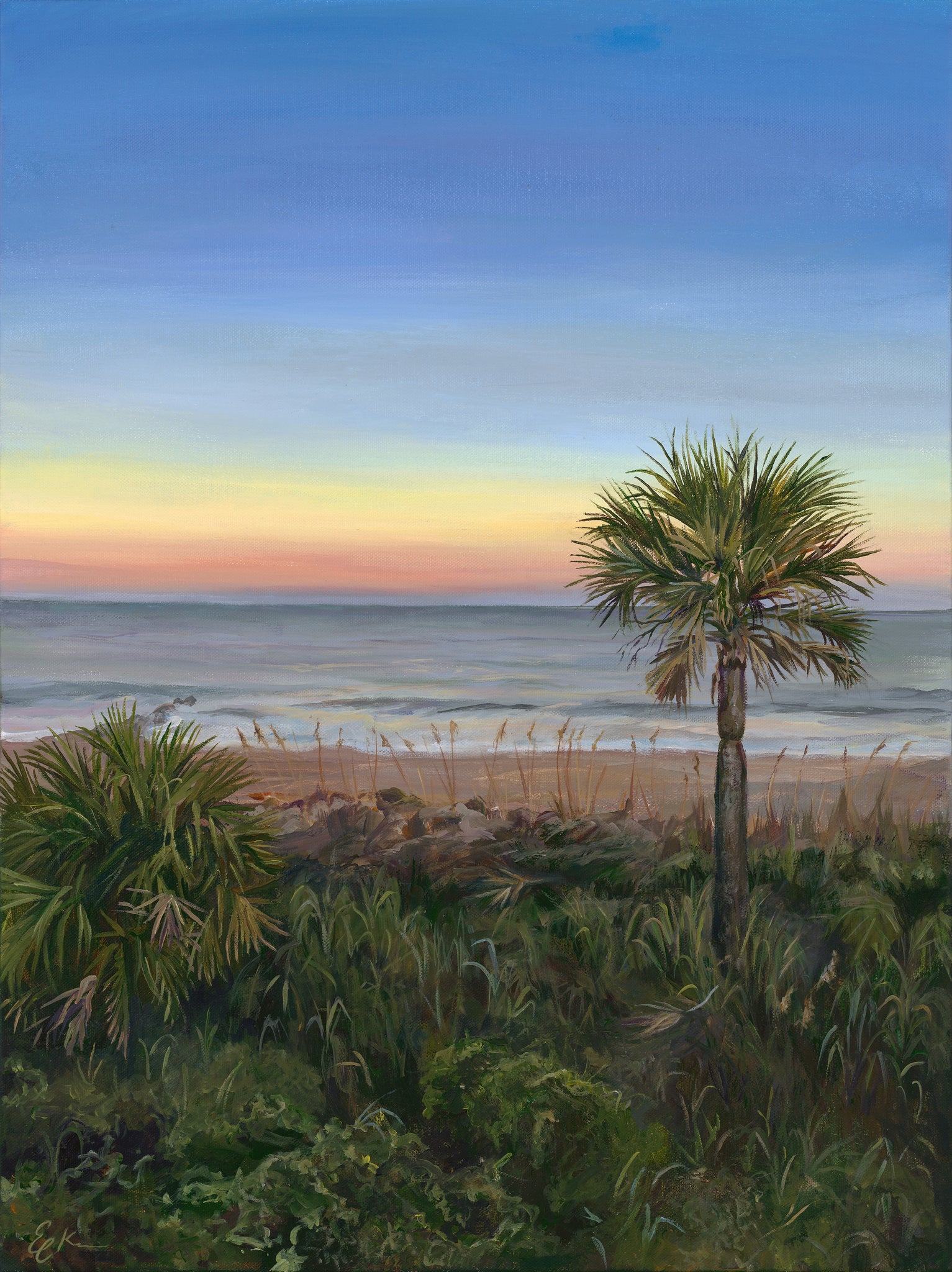 Edisto Beach Palm